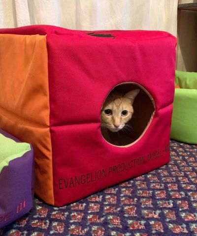 堅実な究極の EVANGELION × mmts Pet House 猫ハウス ペットハウス 点す ベッド・クッション・ハウス