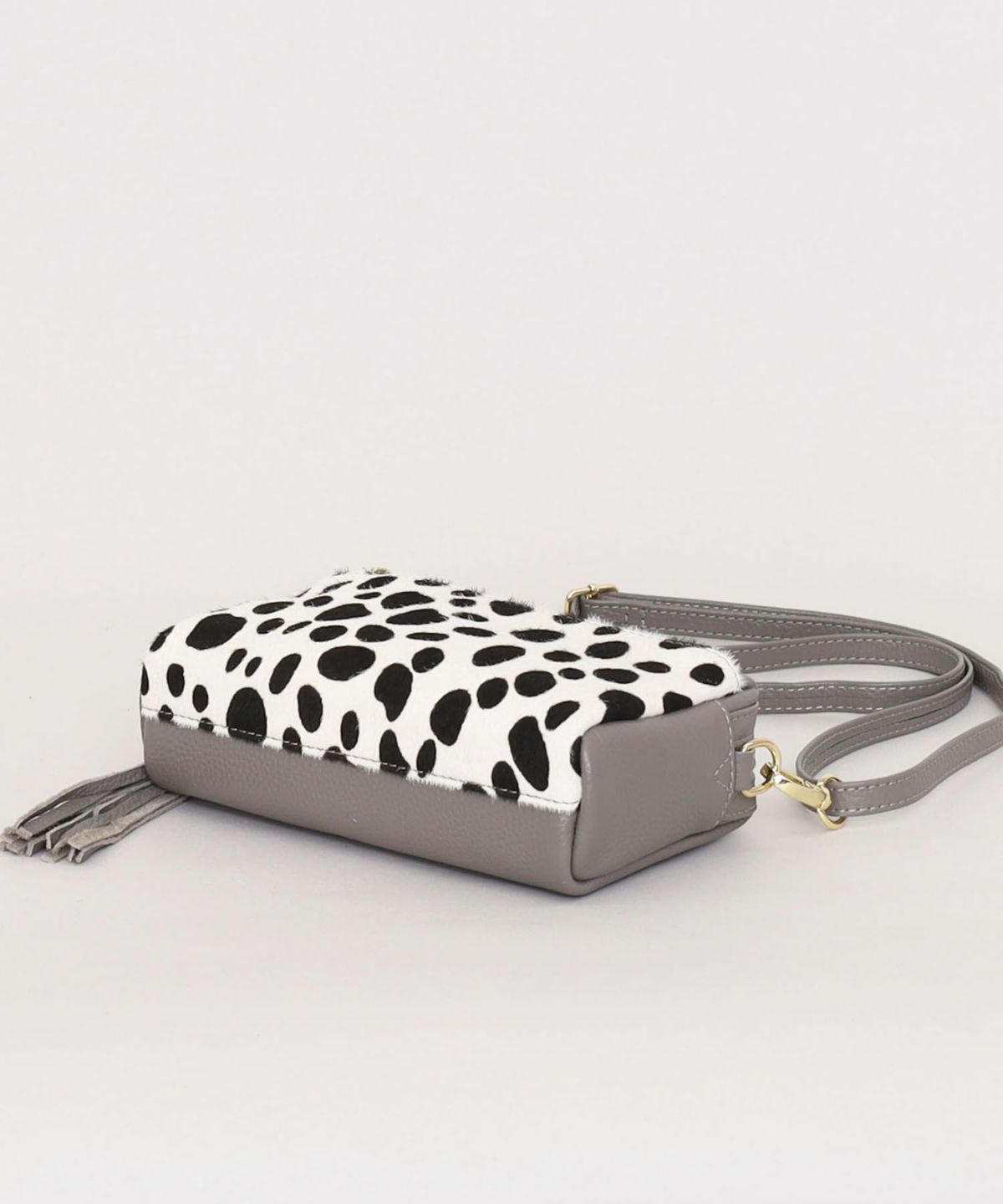 420　ダルメシアン